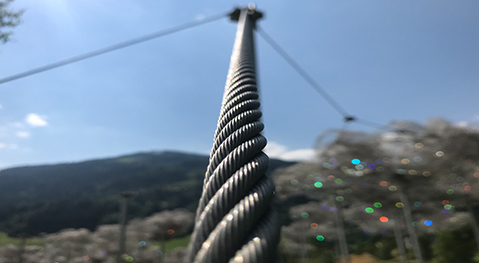 Cable