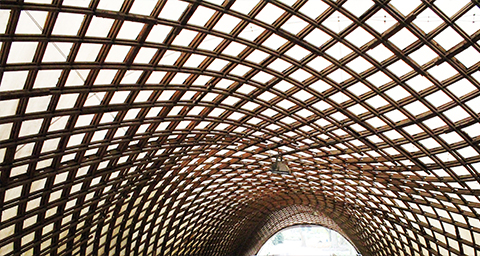 Gridshell