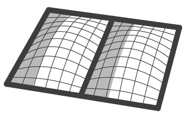 Cushion